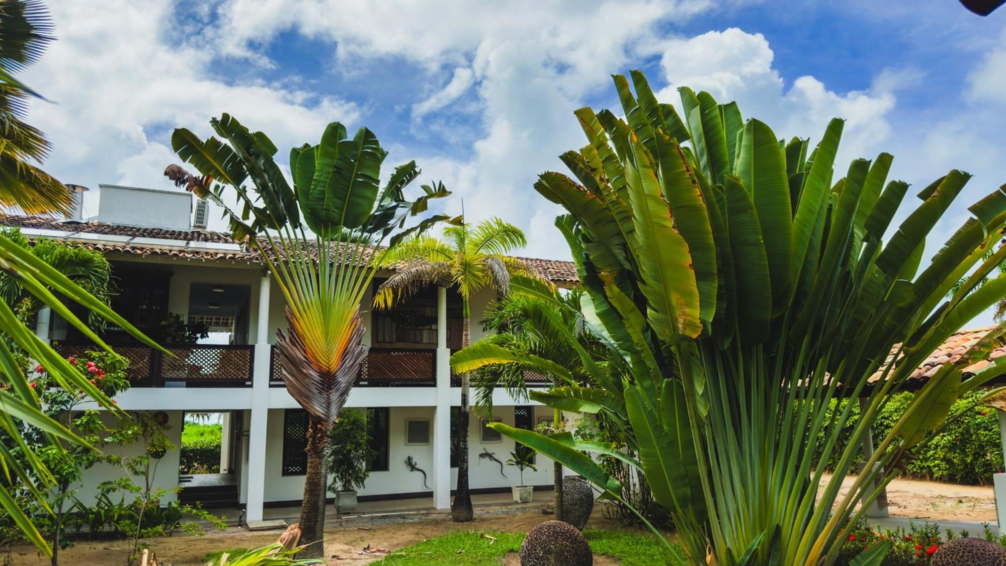 Hotel Casa Acayu São Miguel dos Milagres Exteriér fotografie