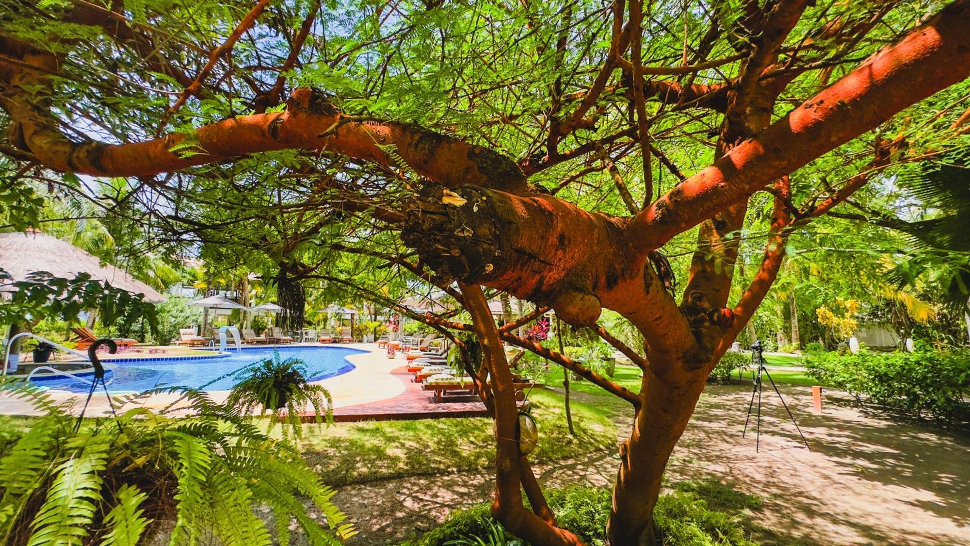 Hotel Casa Acayu São Miguel dos Milagres Exteriér fotografie